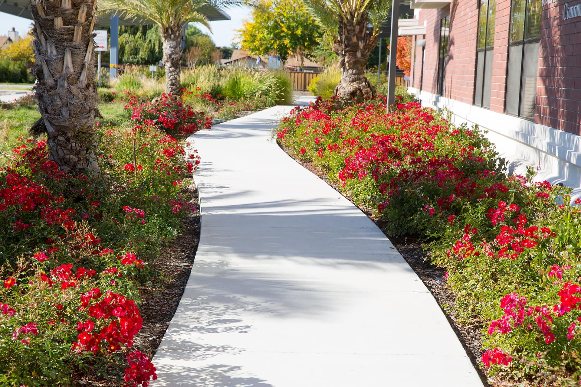 Garden Path